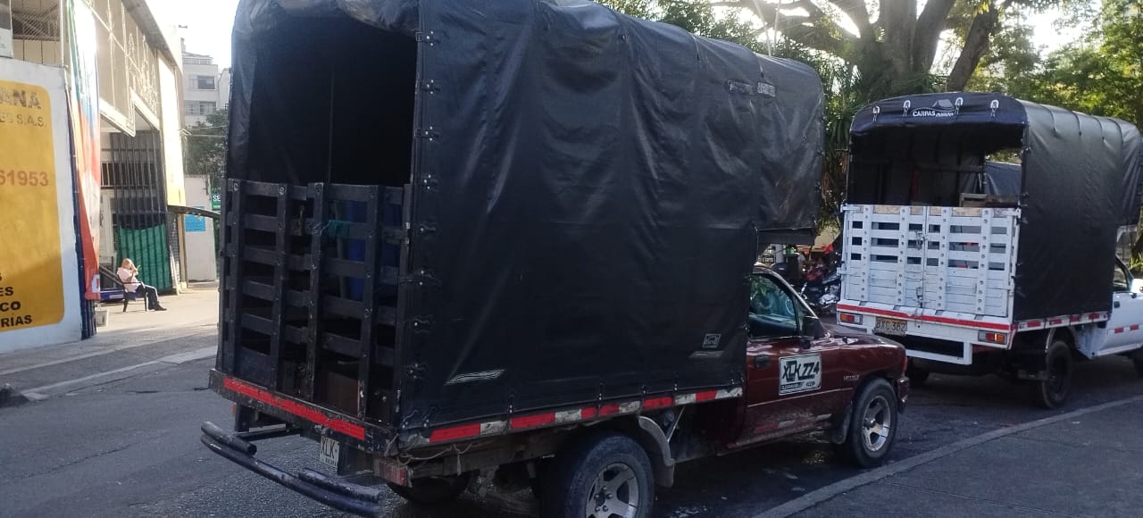 Flota de camiones profesionales